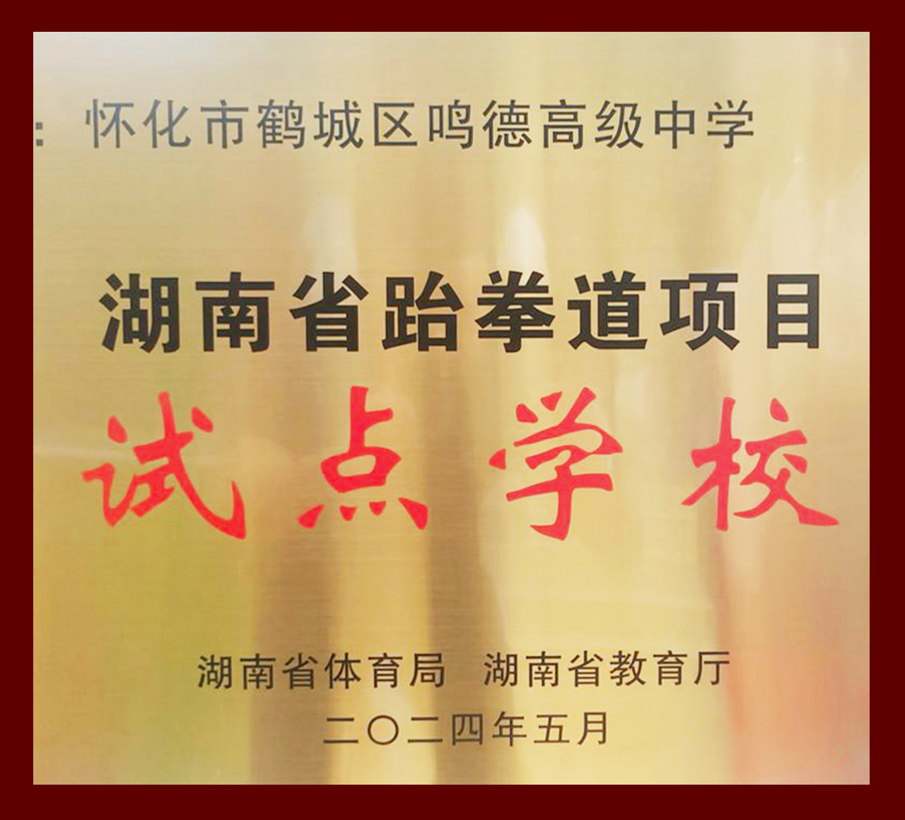 湖南省跆拳道项目试点学校